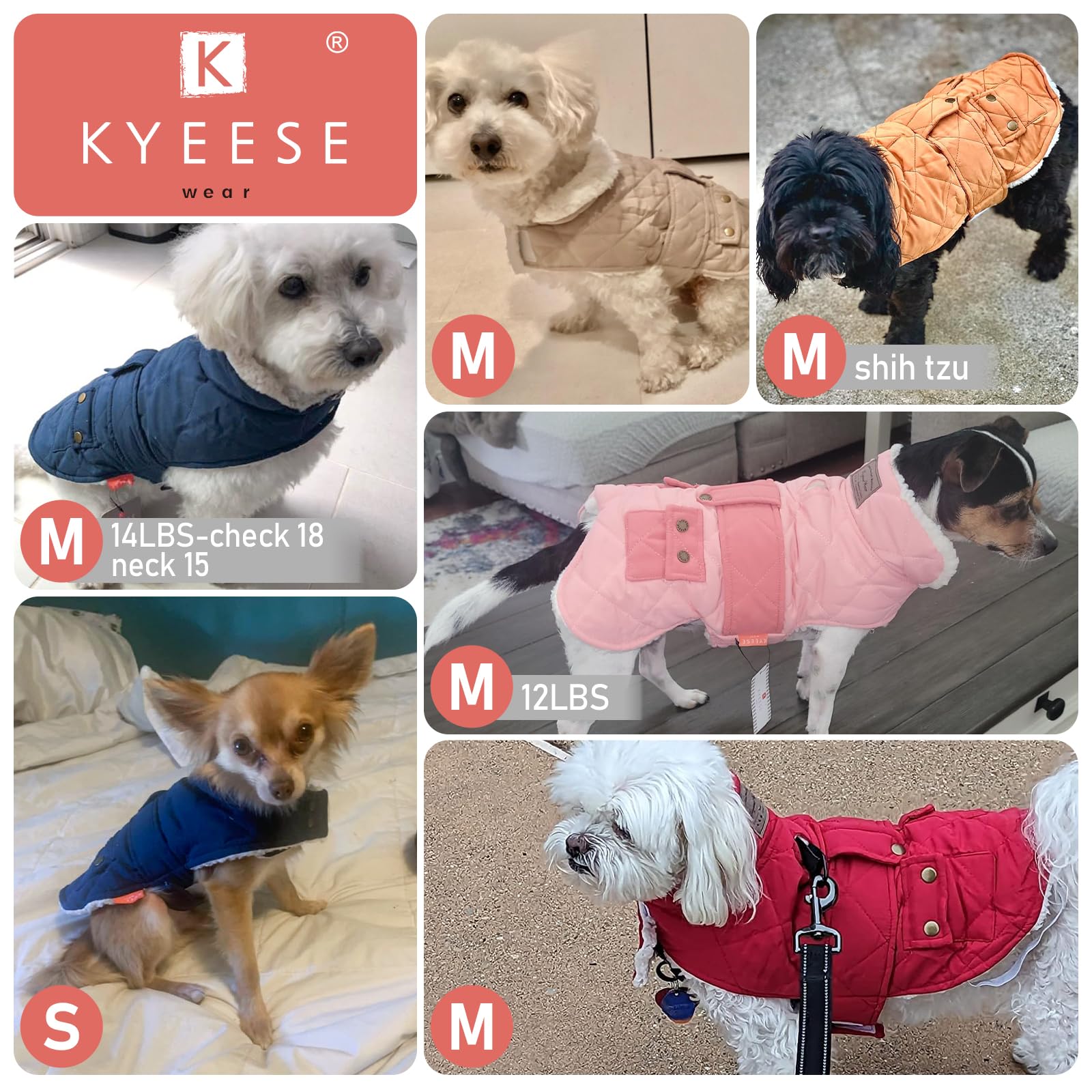 KYEESE dog coat waterproof outer demonstrates protection during light rain.