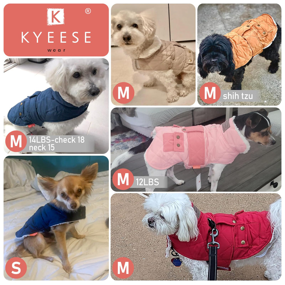 KYEESE dog coat waterproof outer demonstrates protection during light rain.