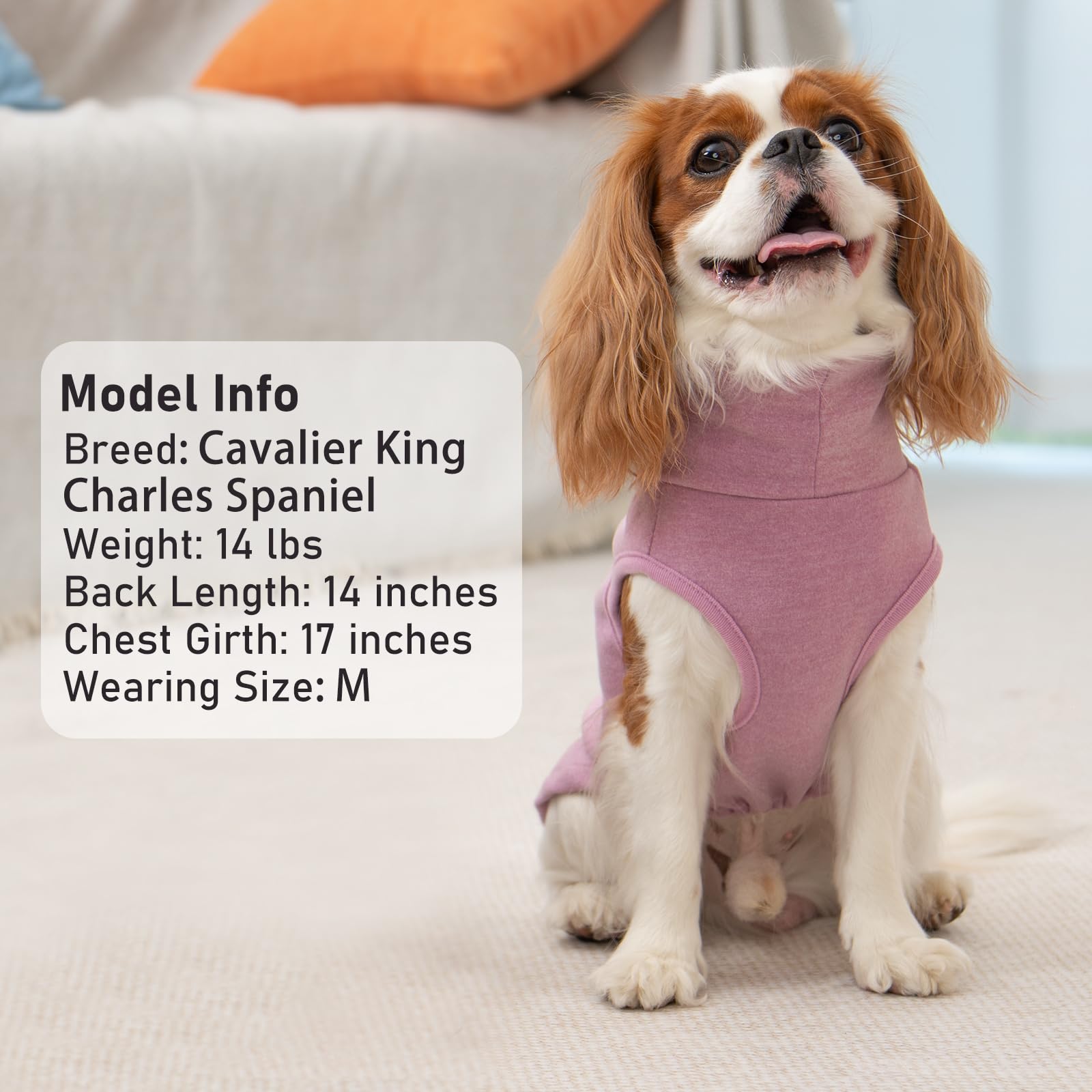 KYEESE dog coats solid and striped pack saves seasonal wardrobe options.