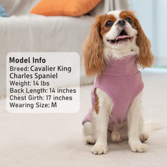 KYEESE dog coats solid and striped pack saves seasonal wardrobe options.