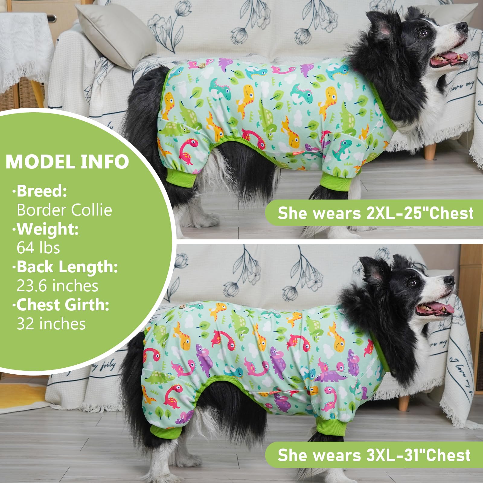 KYEESE dinosaurs print adds playful style to daily dog wear