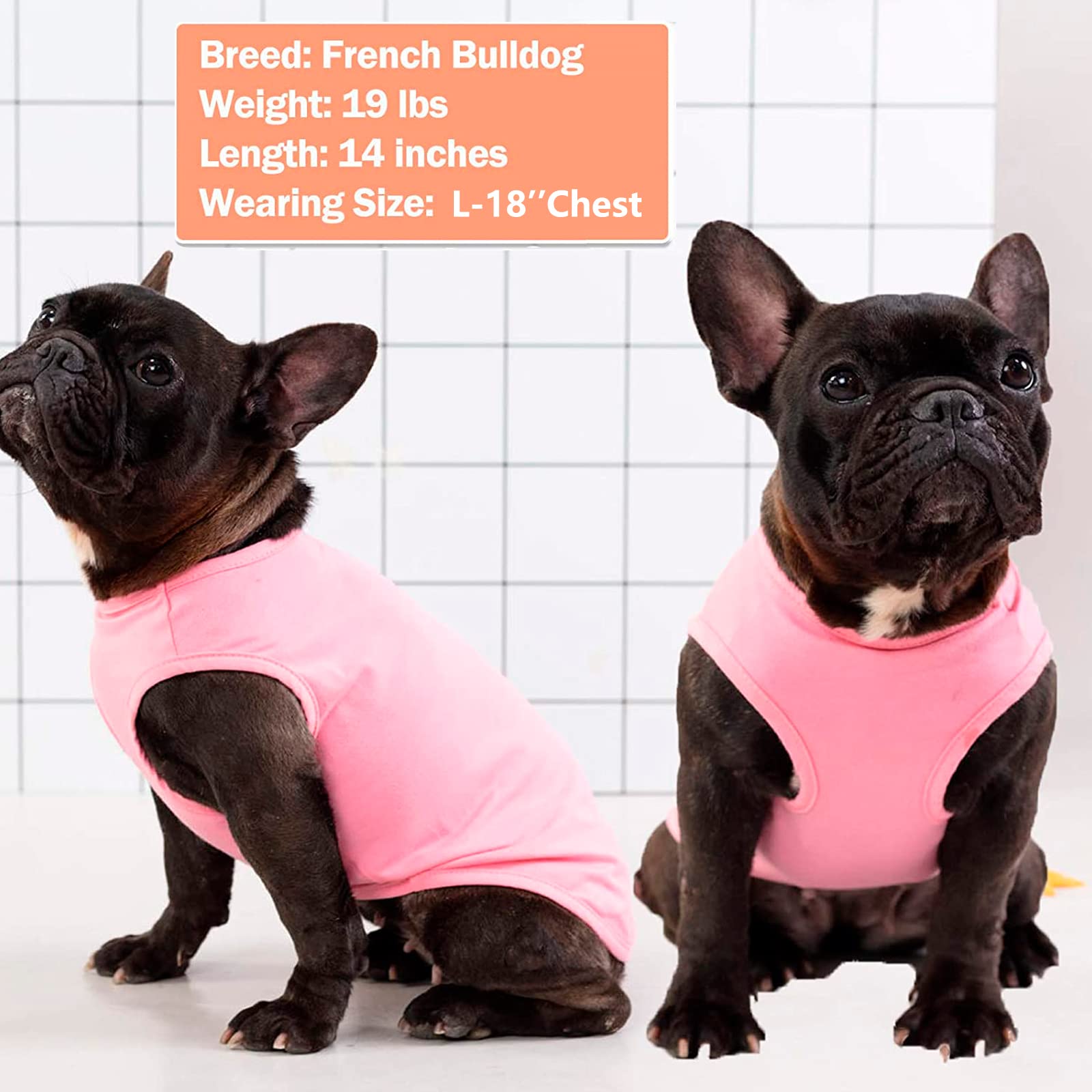KYEESE dog shirt small ribbed arm hole detail, comfortable fit with stretch.