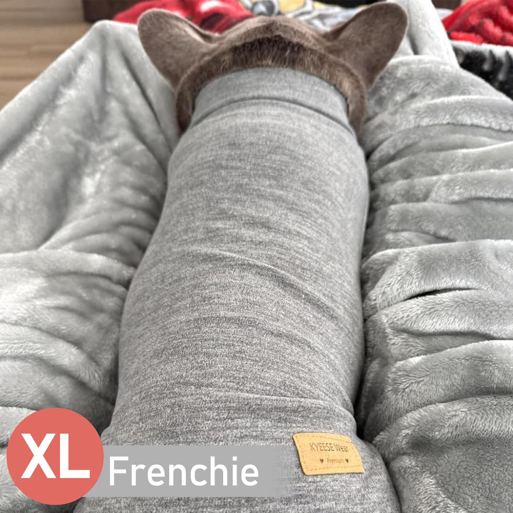 KYEESE dog sweater baselayer with outer jacket for extra warmth on walks.