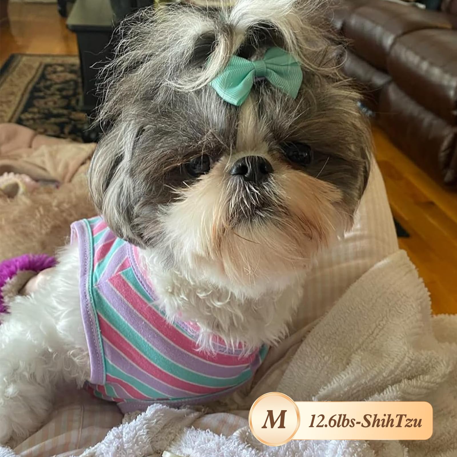 Kyeese lightweight fabric keeps dogs comfortable in warm and cool days.
