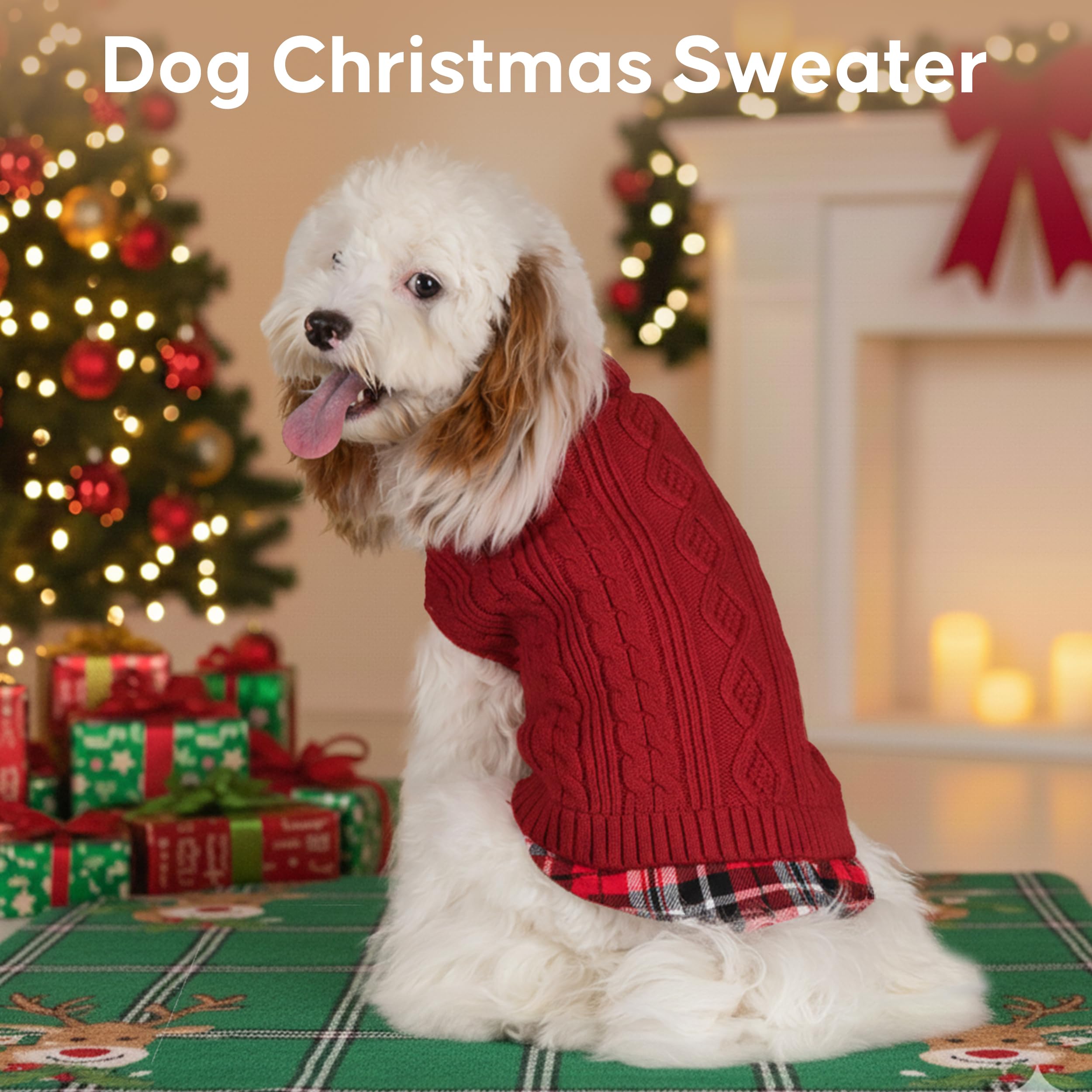 KYEESE dog sweater worn on a small dog highlighting warmth and mobility.