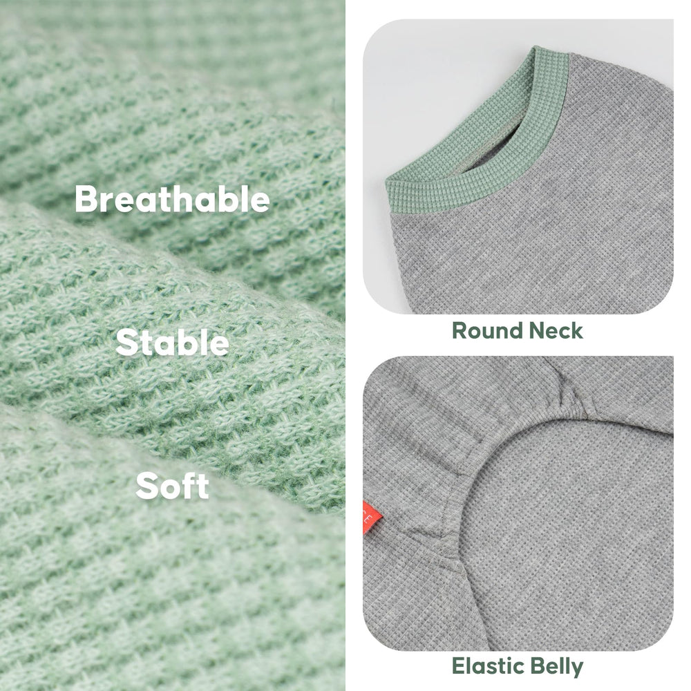 KYEESE wear on dog model demonstrates stretchy, easy-to-wear fit