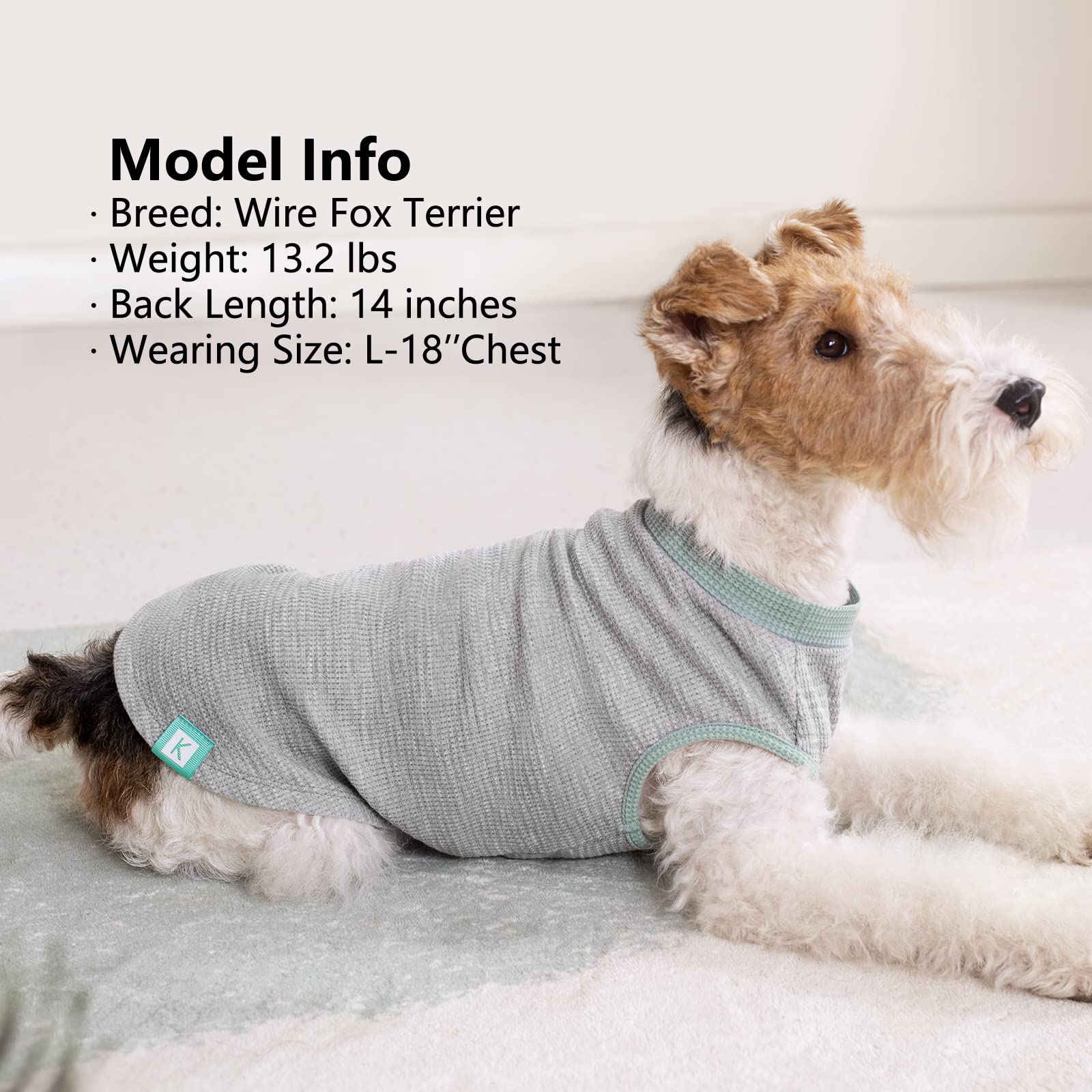 KYEESE size guide image showing chest and back length measurement