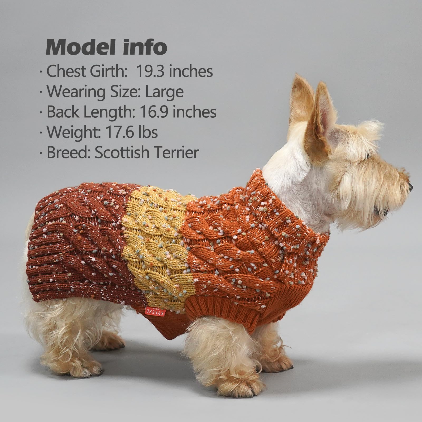 KYEESE wash-dry care image conveys easy care for busy pet owners