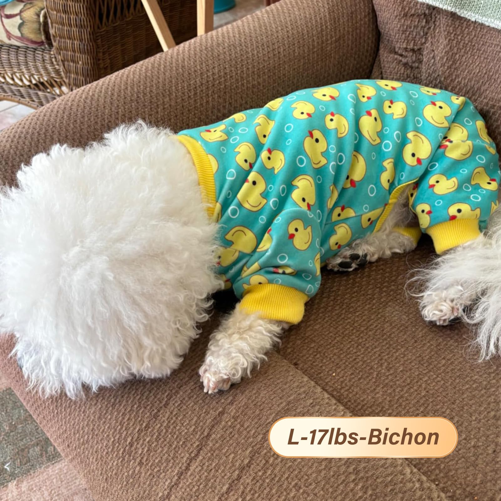 KYEESE Large-size model wearing velvet pajama for proper fit