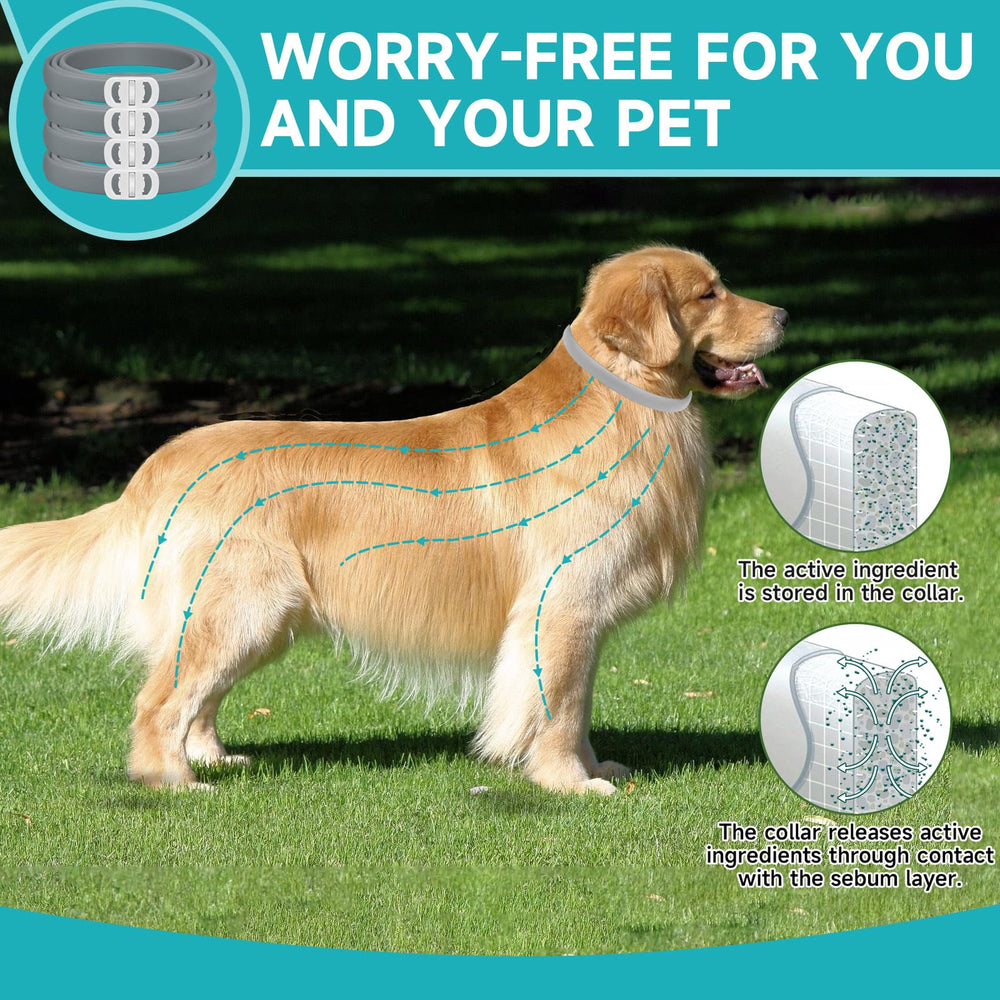 KYGNE 32-month protection dog collar emphasizes extended coverage in a single purchase.