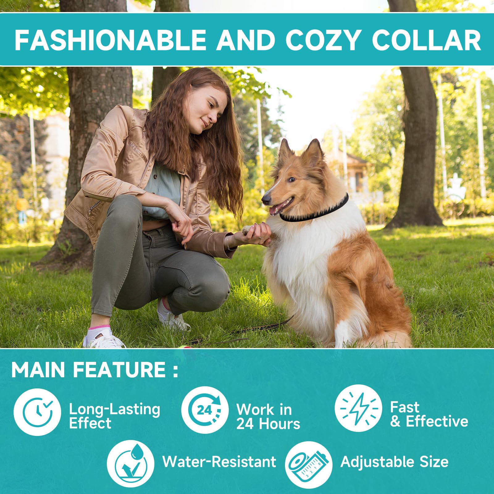 KYGNE dog collar on a pet during a walk for protection.