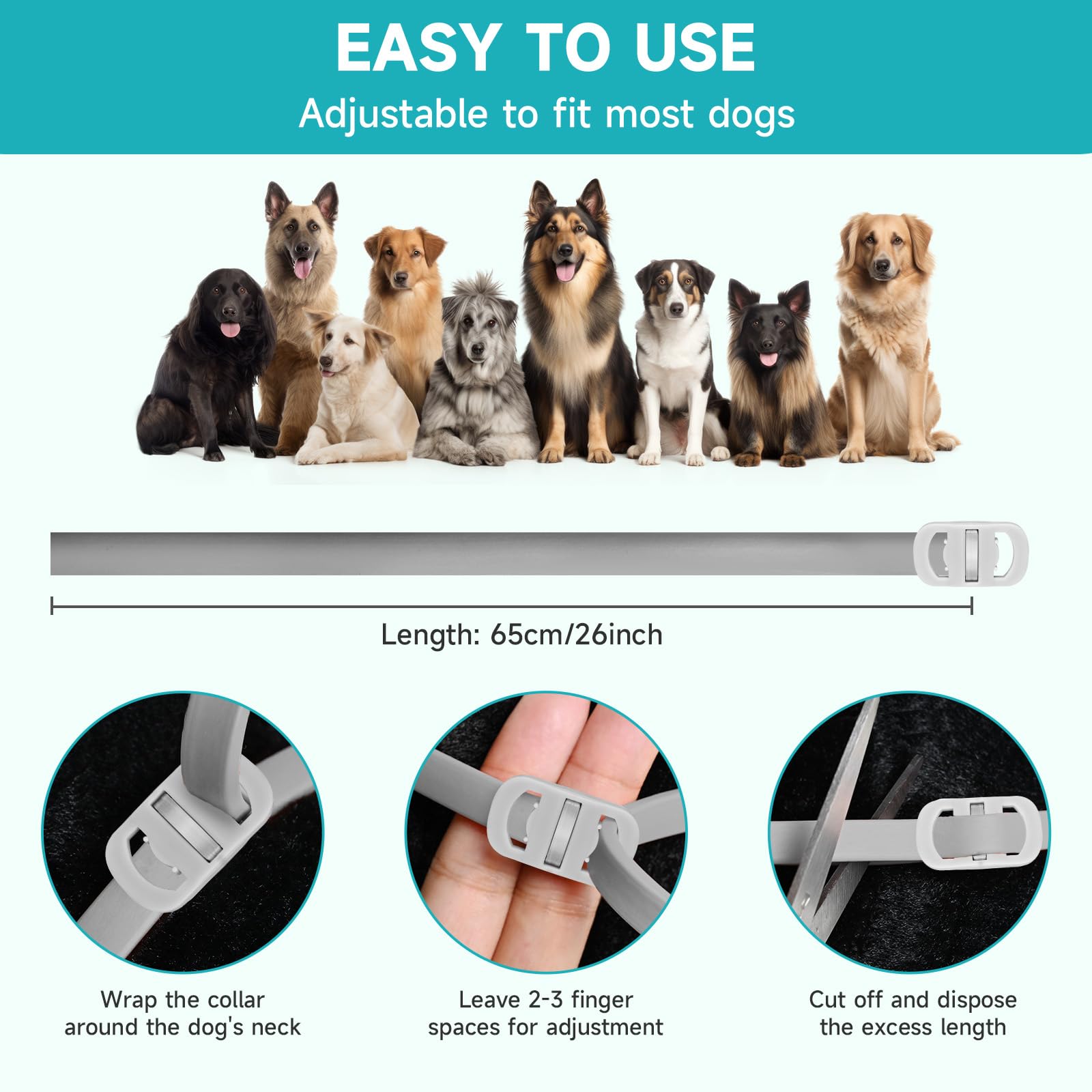 KYGNE one-size-fits-all dog collar shown fitting dogs over 12 weeks for growing pets.