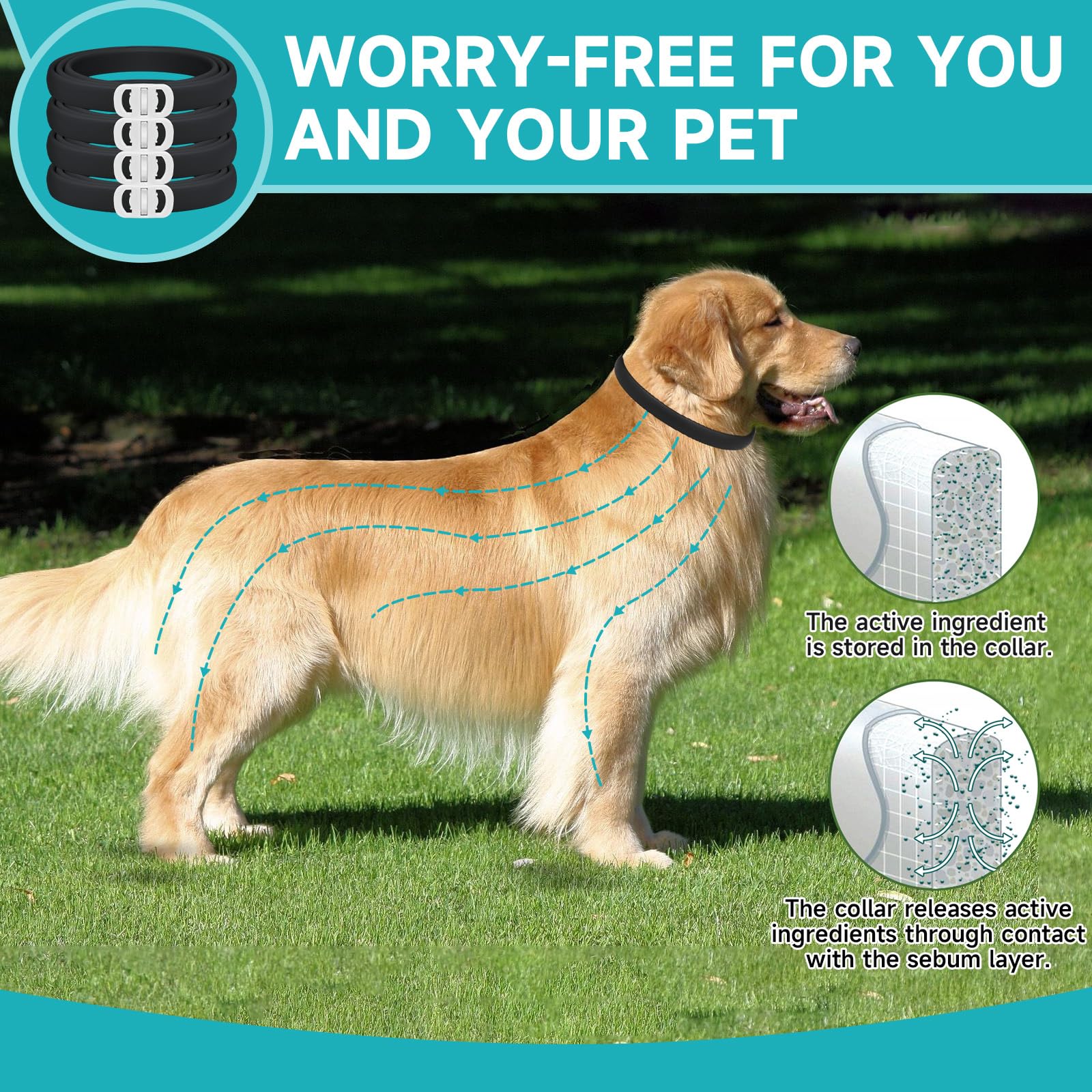 KYGNE soft-material dog flea collar with smooth edges for comfort.