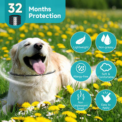 KYGNE waterproof dog flea collar shown in use on a walk.