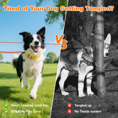 Kynara orange tie-out cable extended for safe yard play and exploration.