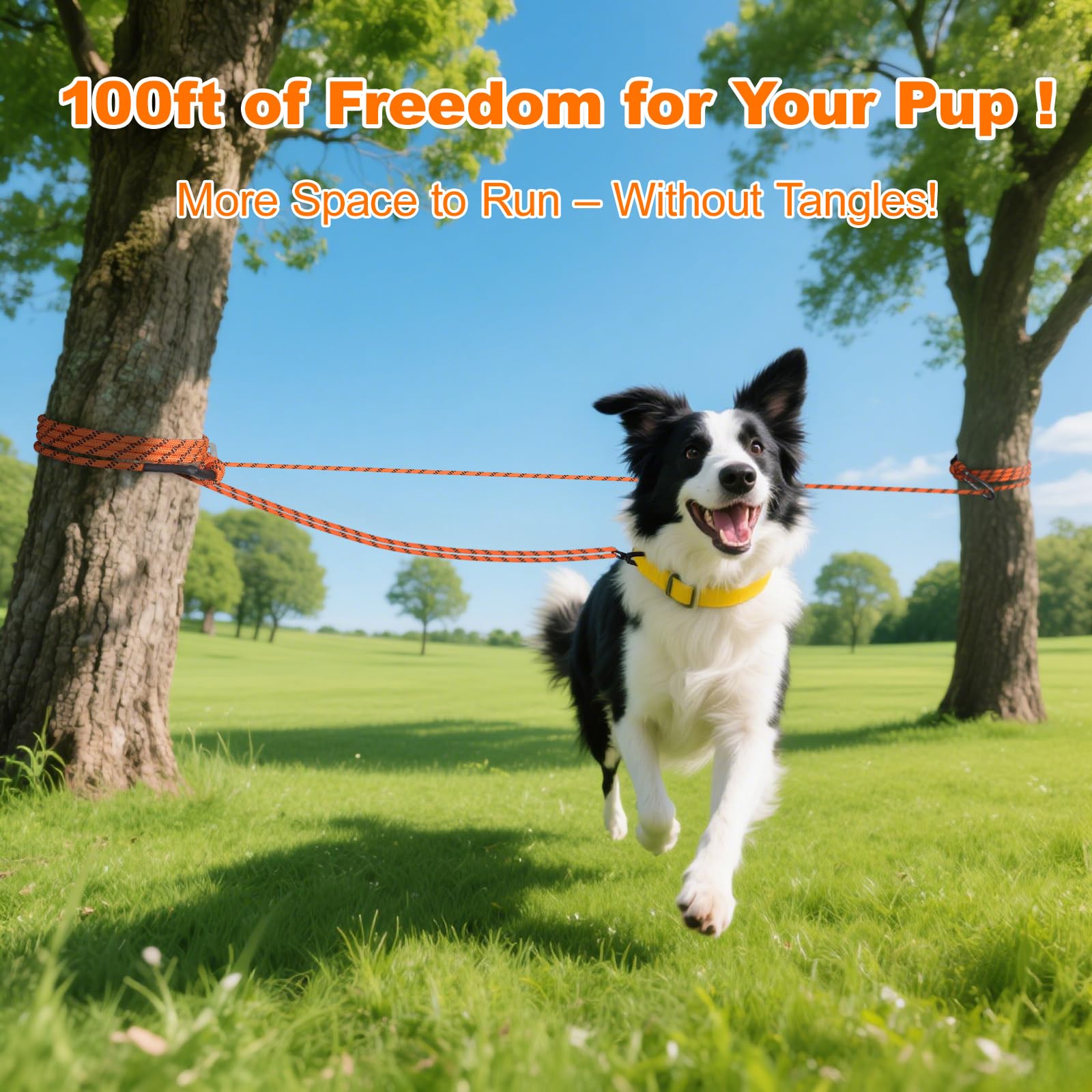 Kynara overhead dog line reduces choking risk and keeps dogs in sight.