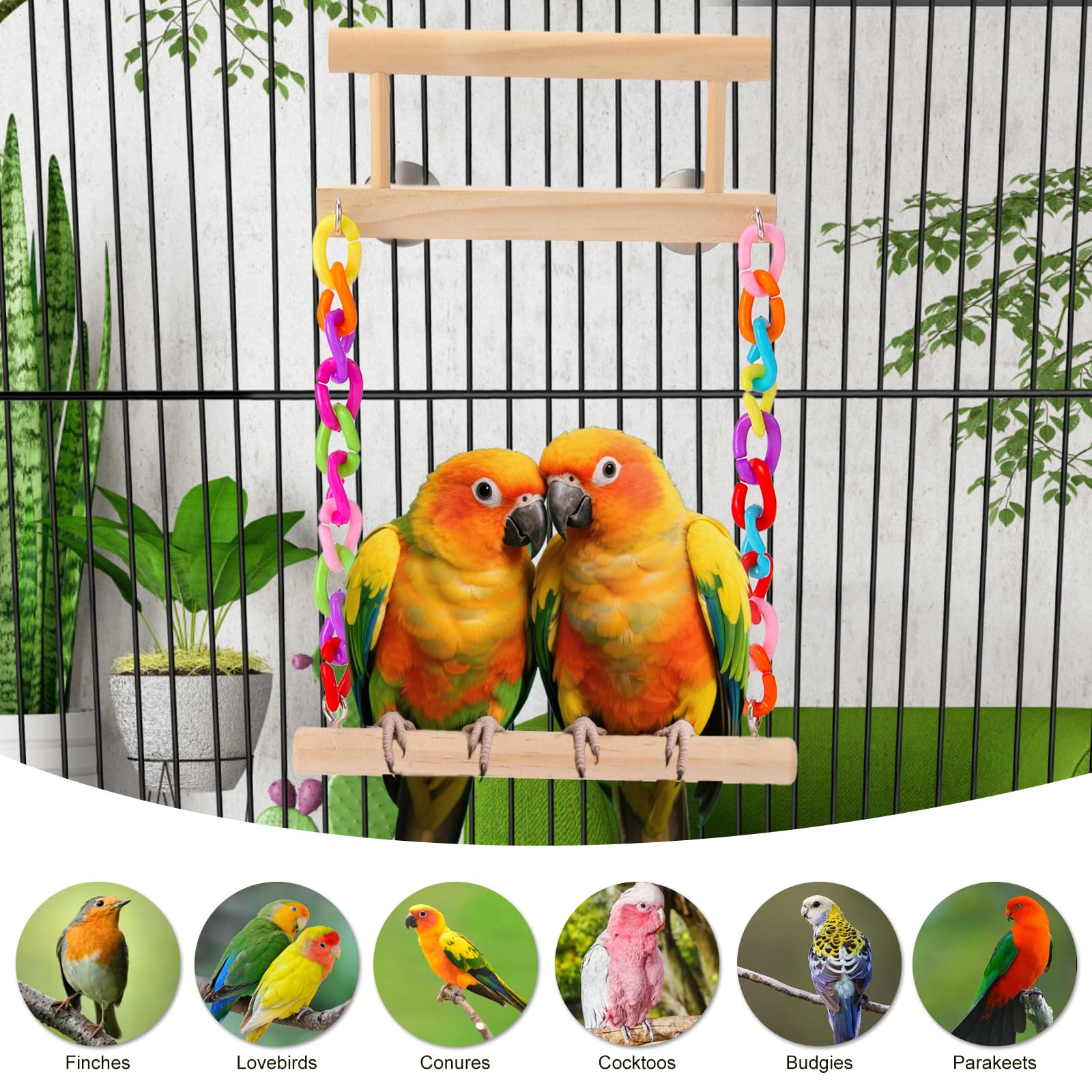 Kyouki bird perch upper and lower levels provide resting and exercise zones for small parrots.