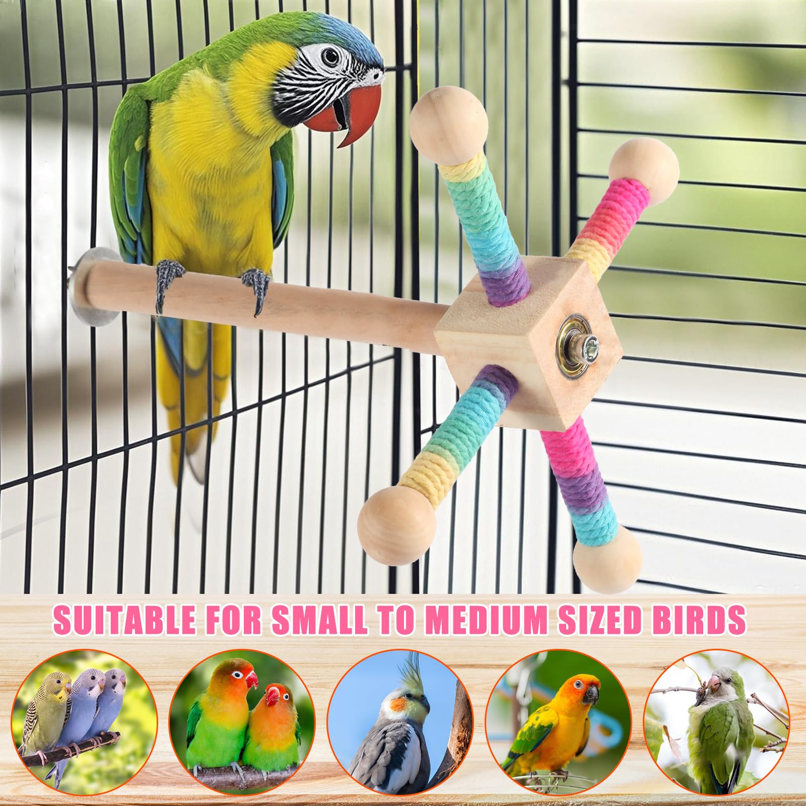 Kyouki bird toy vertical and horizontal mount for versatile placement