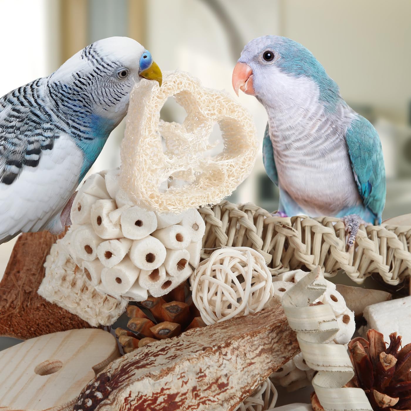 Kyouki bird toys closeup-materials highlighting pine cones, corn, sola fibers for tactile fun