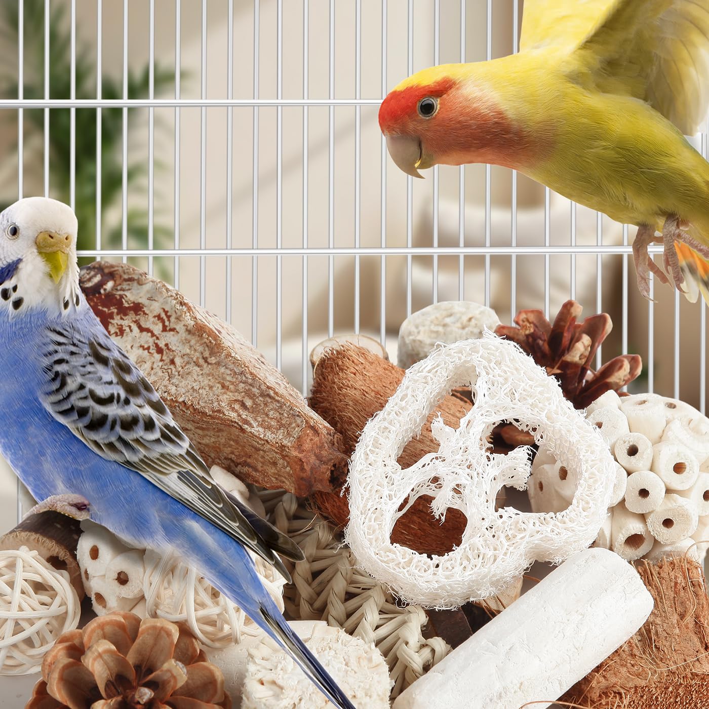 Kyouki bird toys multiple-species shot featuring conures, lovebirds, and cockatiels enjoying play