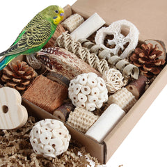 Kyouki bird toys natural materials close-up showing pine cones and coconut shells foraging play