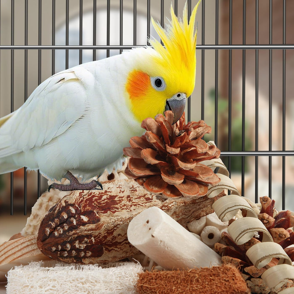 Kyouki bird toys parakeet-use image showing versatile use for parakeets and similar birds