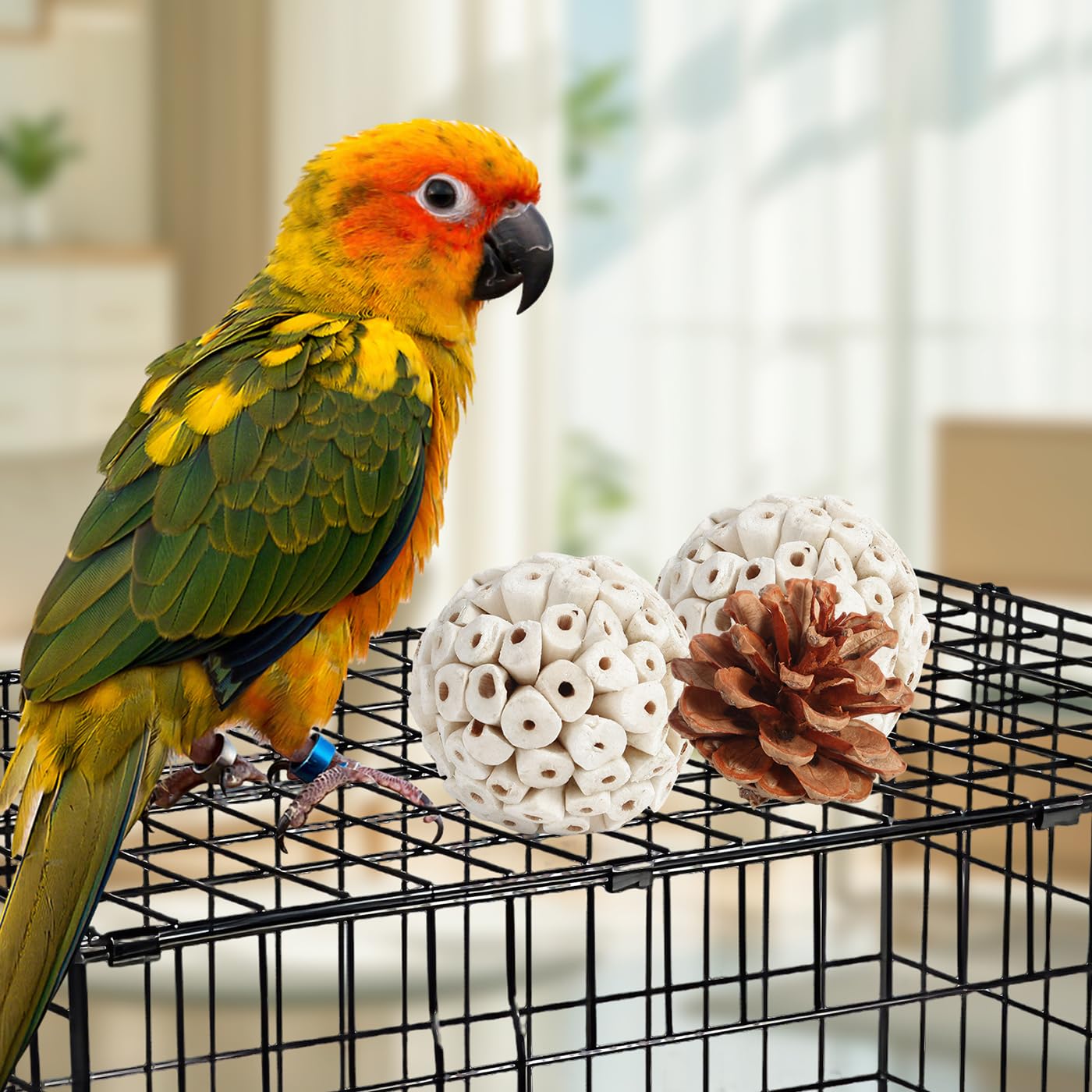 Kyouki bird toys shredding-wood close-up emphasizing safe wood textures for gnawing