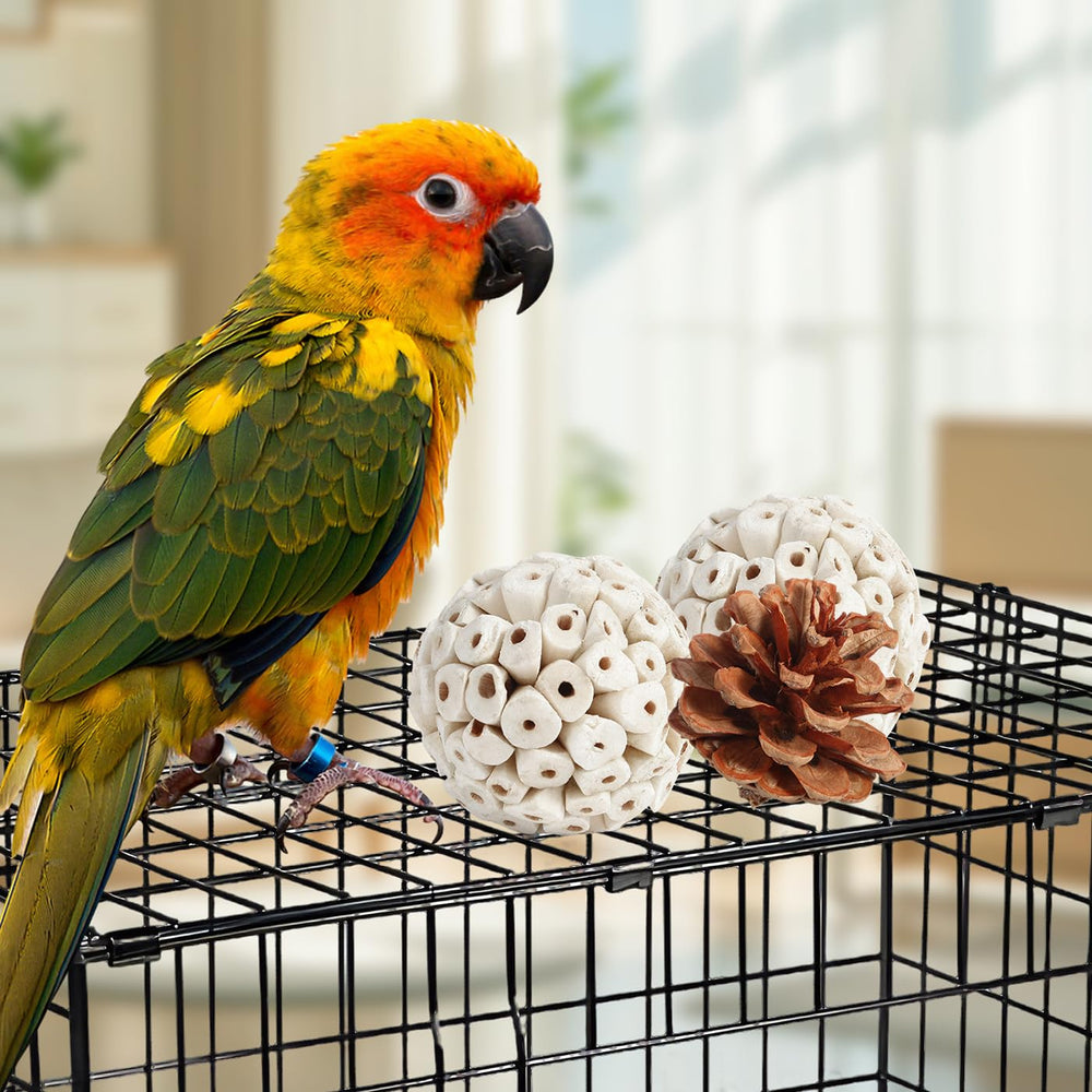 Kyouki bird toys shredding-wood close-up emphasizing safe wood textures for gnawing