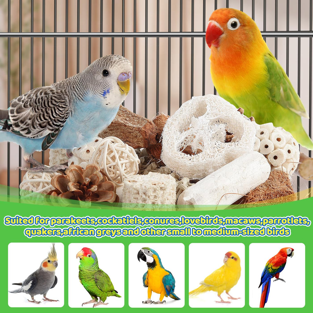 Kyouki bird toys snack-seek demonstrates hidden treats inside the box for detective-style foraging
