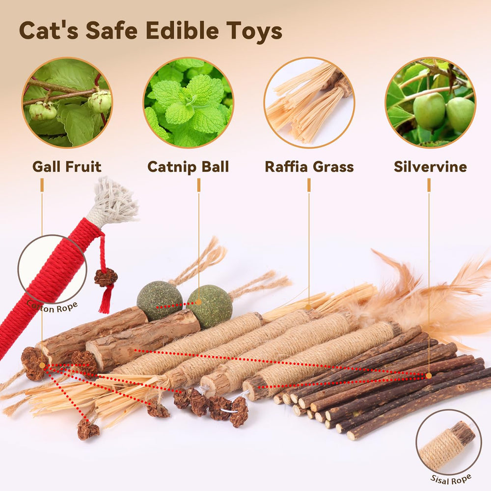 Kyouki cat toy set unboxed, vibrant playthings for indoor cat enrichment.