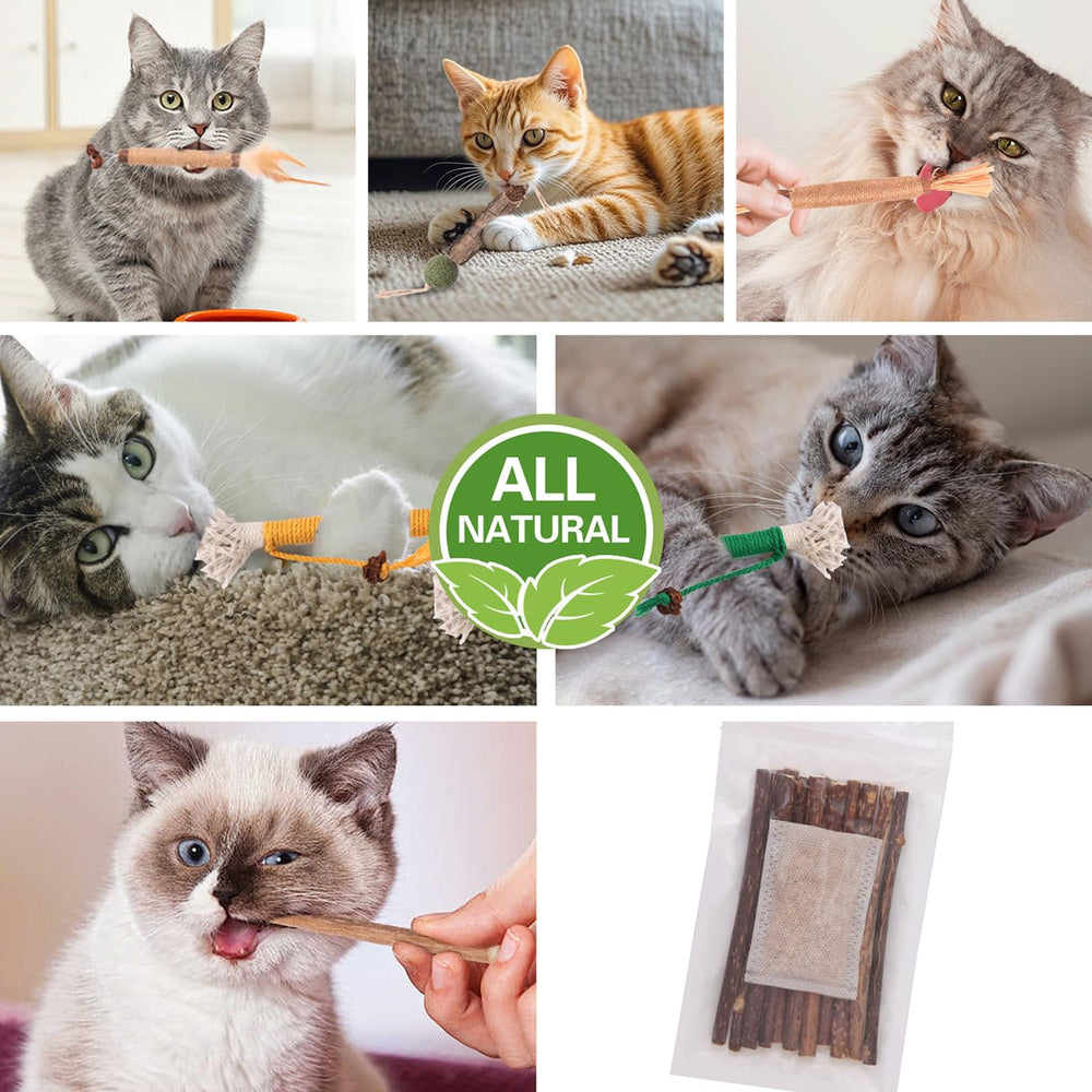 Kyouki catnip rope toys 2-pack, interactive play to boost activity.