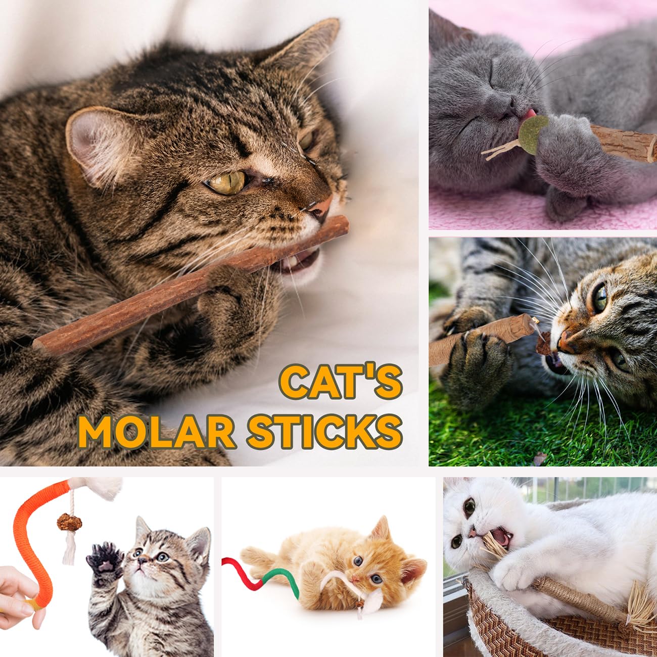 Kyouki catnip rope toys inviting interactive play and grooming