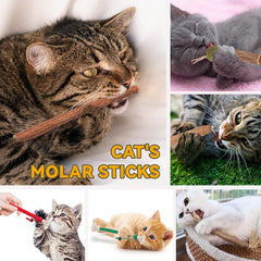 Kyouki catnip silvervine bag, enrichment reward kit for curious cats.