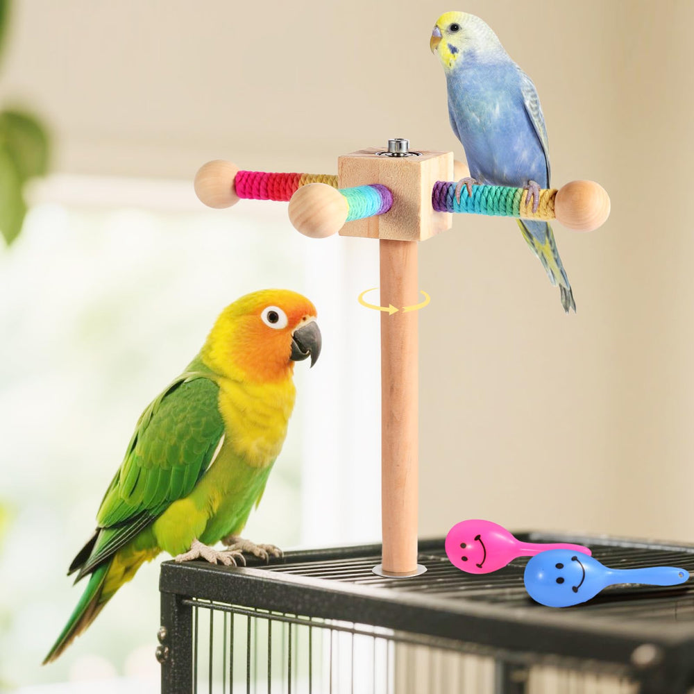 Kyouki fruit veggie encouragement tips show interactive feeding prompts