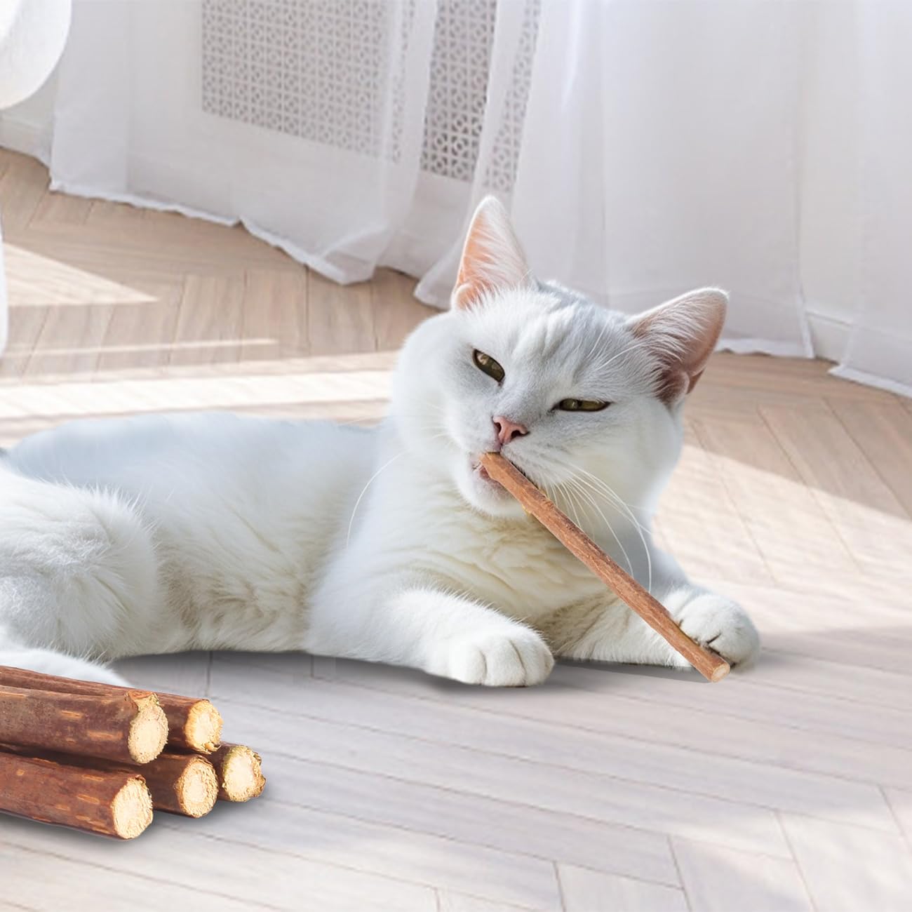 Kyouki indoor enrichment kit, promotes activity and mental stimulation for cats.