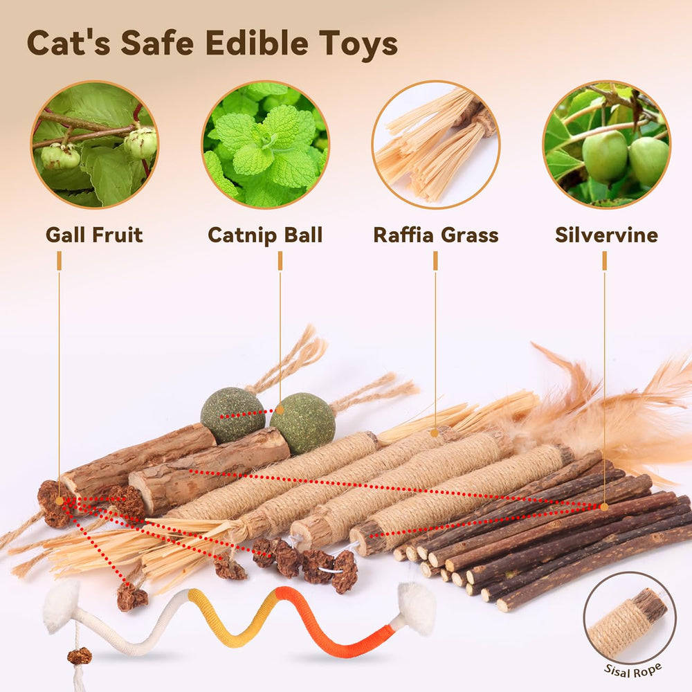 Kyouki indoor cat enrichment highlighting active play