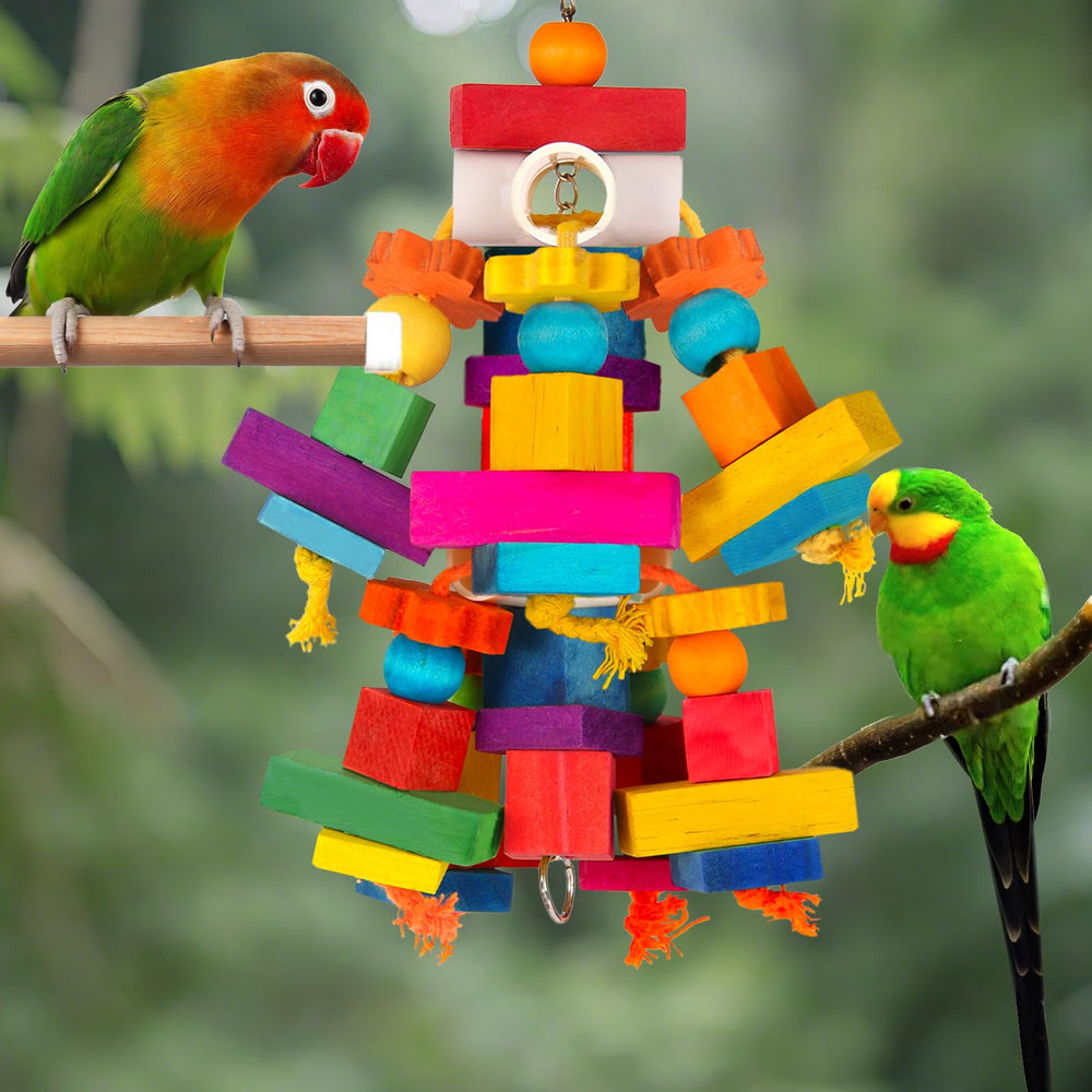 Kyouki parrot toy colorful beads add vibrant enrichment for parrots