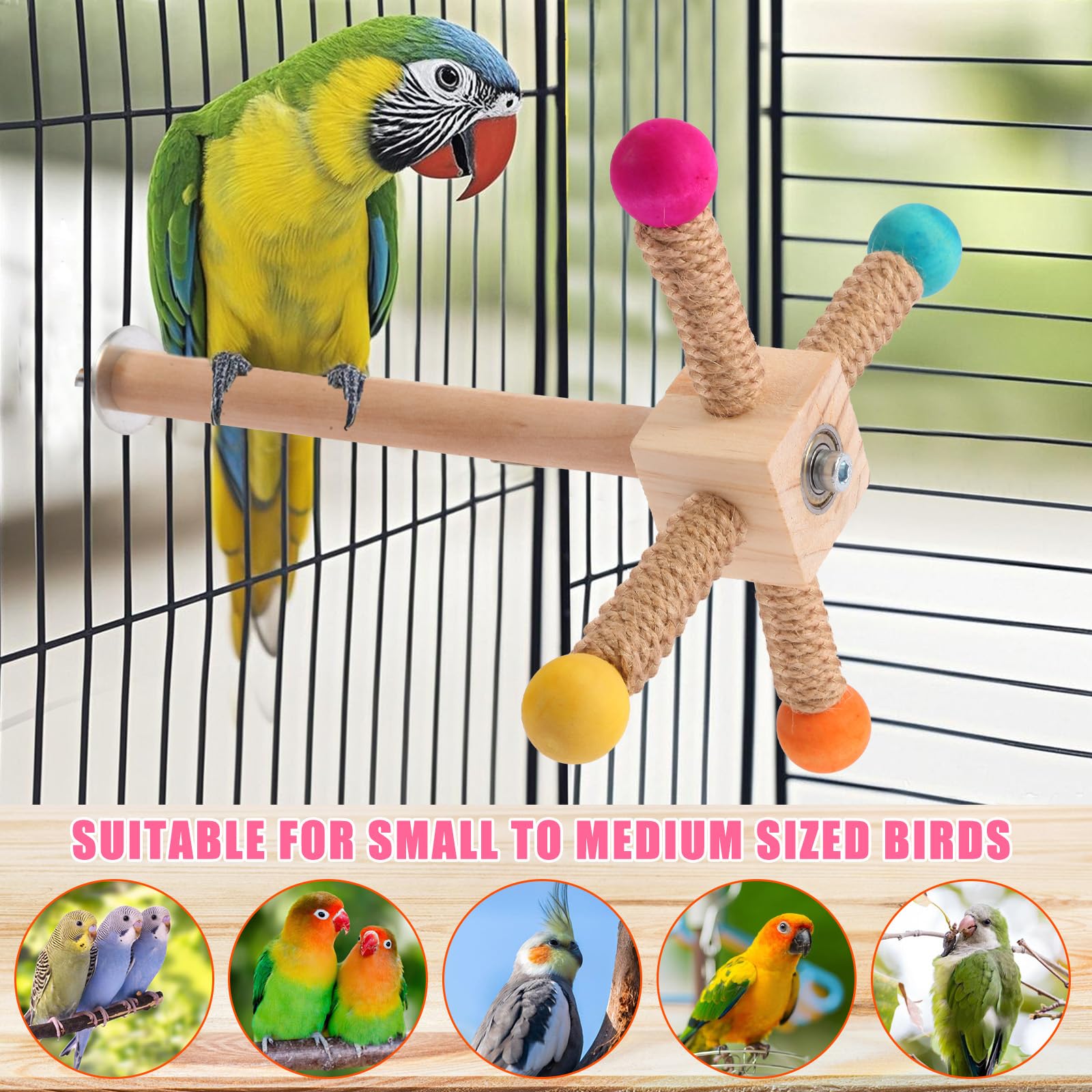 Kyouki design for small/medium parrots with gnawable hemp rope and beak-friendly pine.