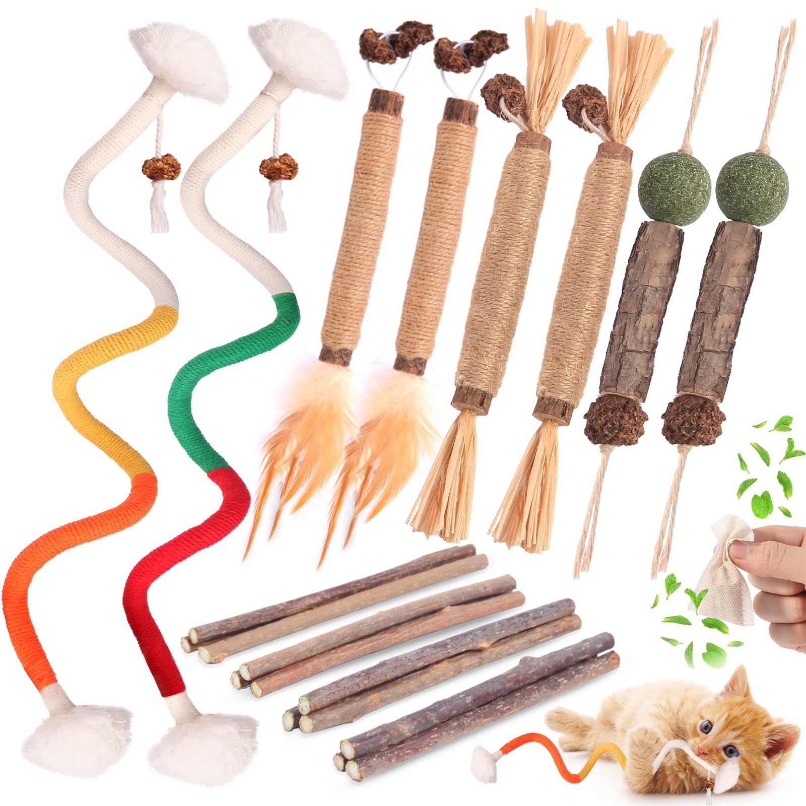 Kyouki silvervine sticks collection showing natural chews for dental care