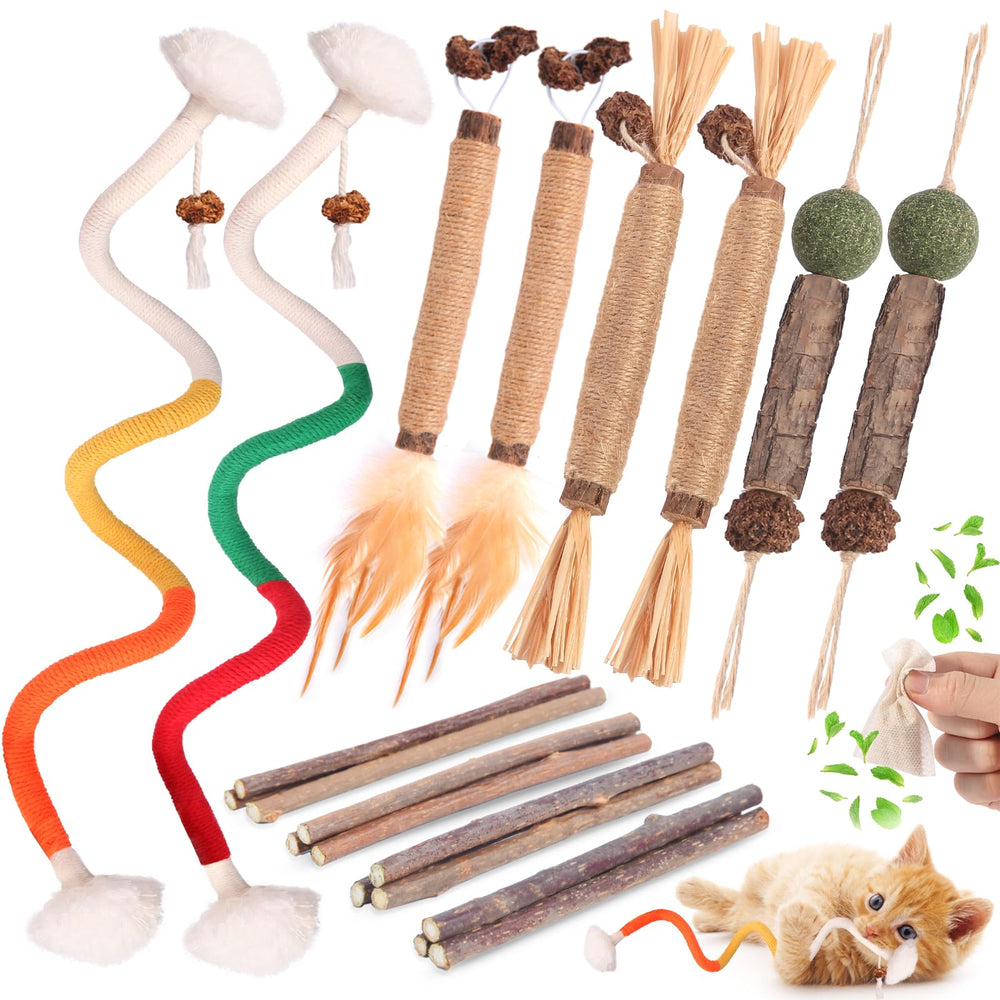 Kyouki silvervine sticks collection showing natural chews for dental care