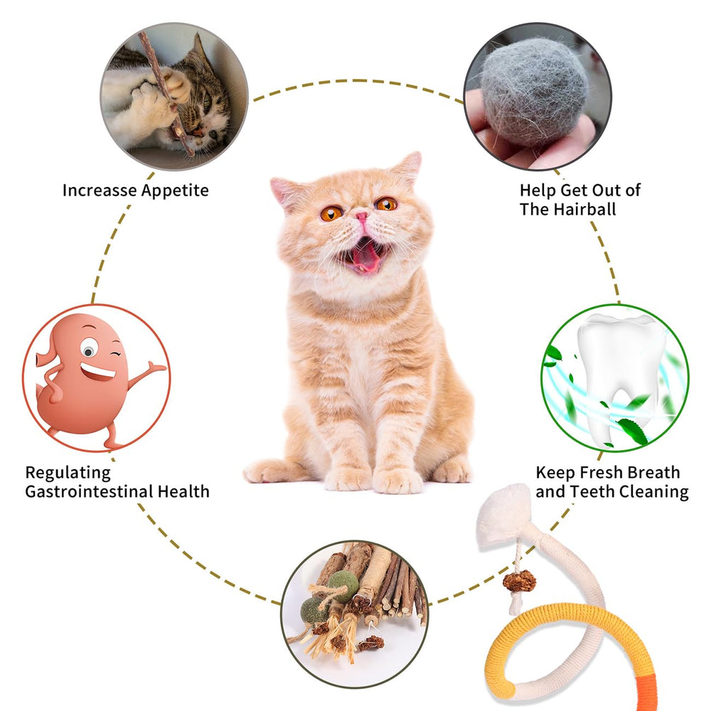 Kyouki teeth-cleaning toys designed for dental-friendly play