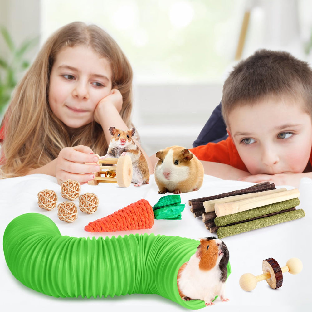 Kyouki wooden branch chews image featuring splinter-free apple wood chews for safe chewing
