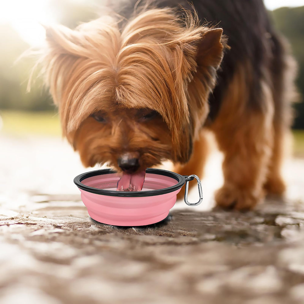 Kytely bowl with clasp-secured lid for secure transport during walks