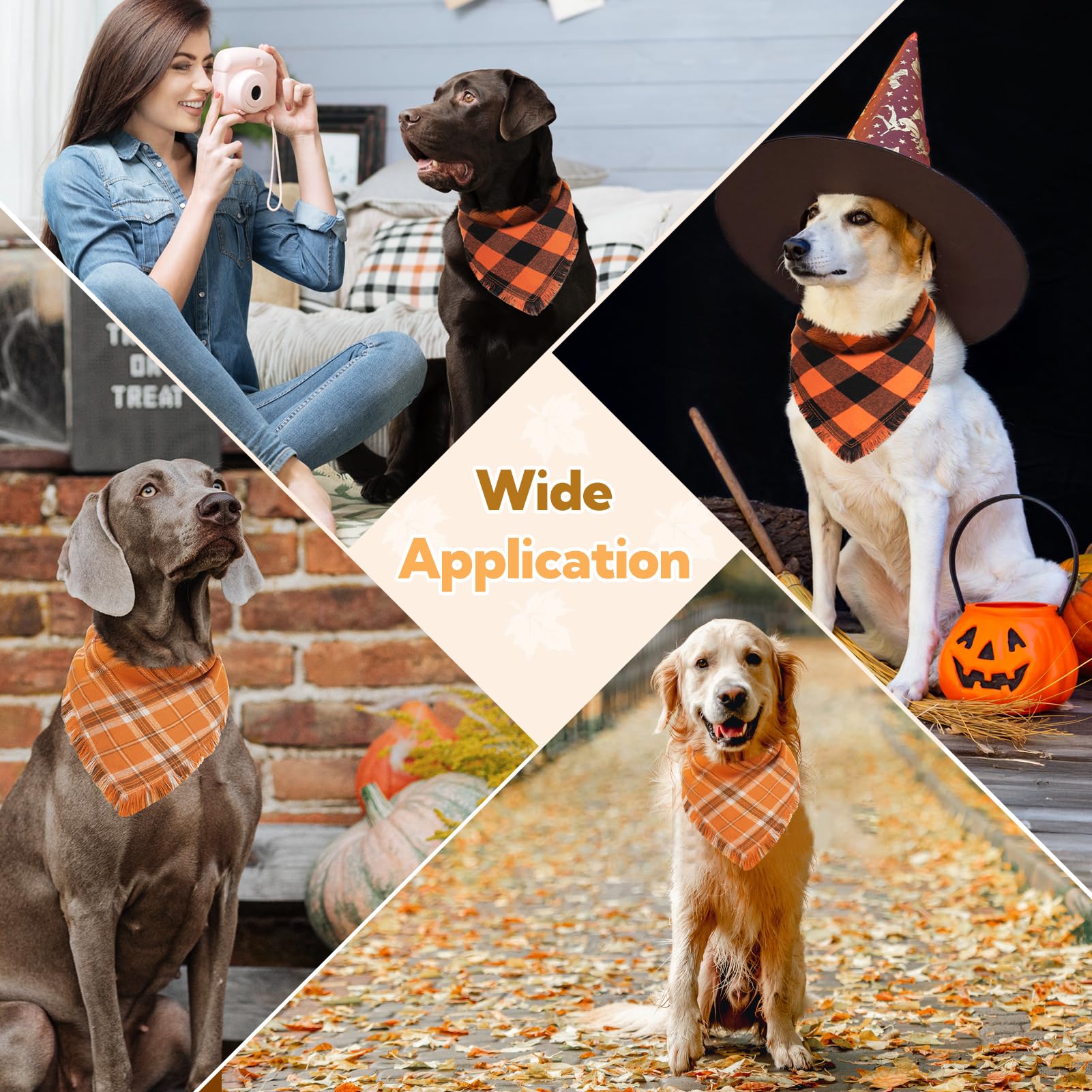 Kytely dog bandana fall photoshoot captures warm family moments.