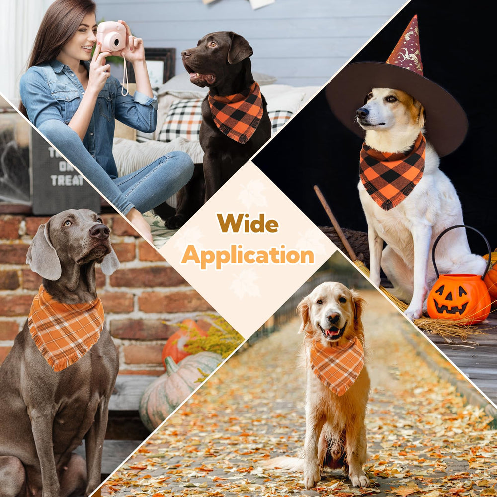 Kytely dog bandana fall photoshoot captures warm family moments.