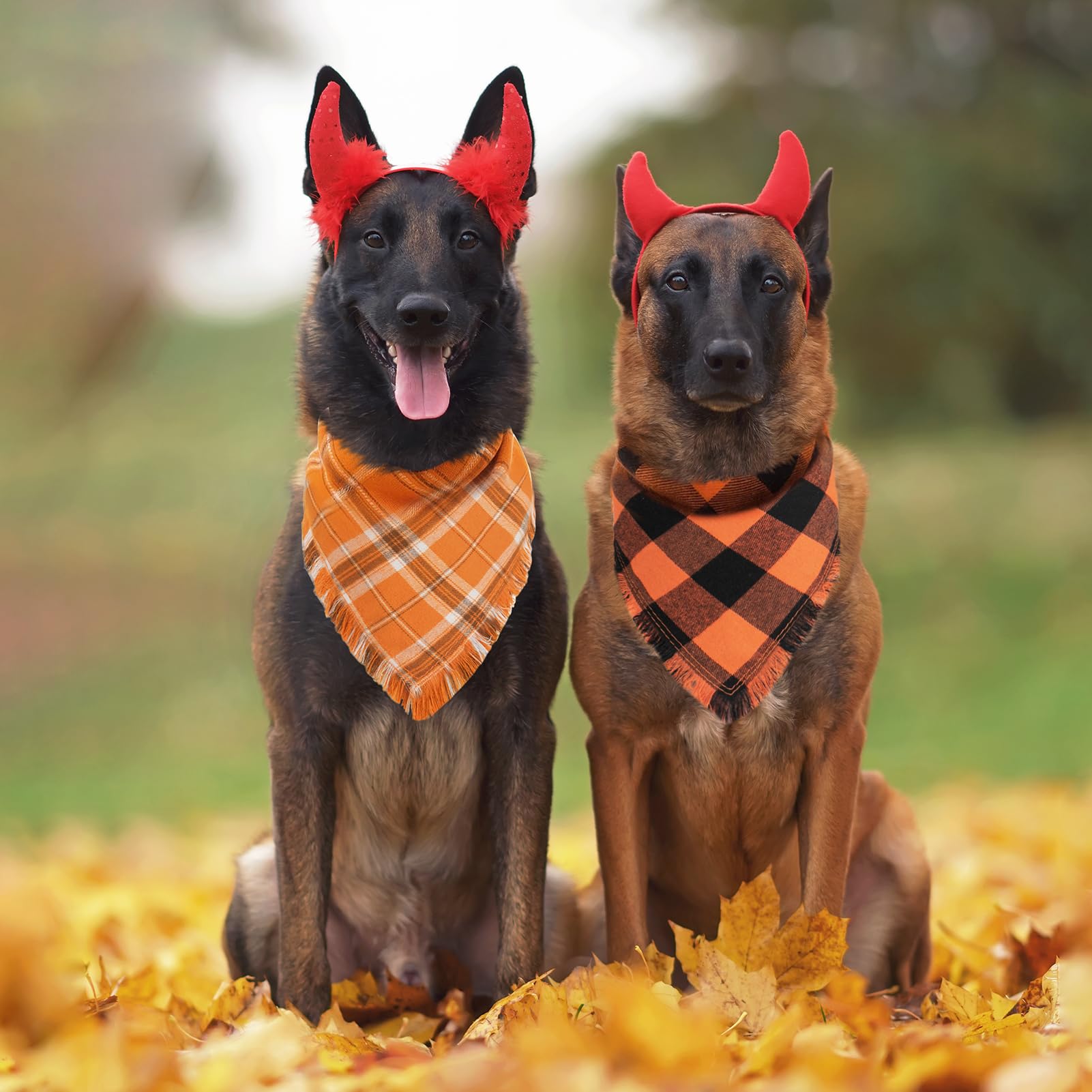 Kytely dog bandana Halloween ready conveys seasonal charm for pets.