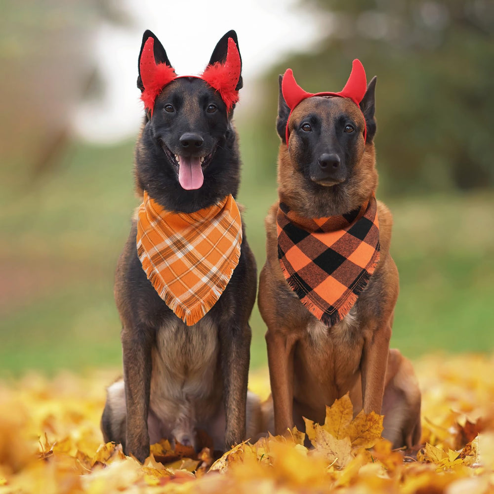 Kytely dog bandana Halloween ready conveys seasonal charm for pets.