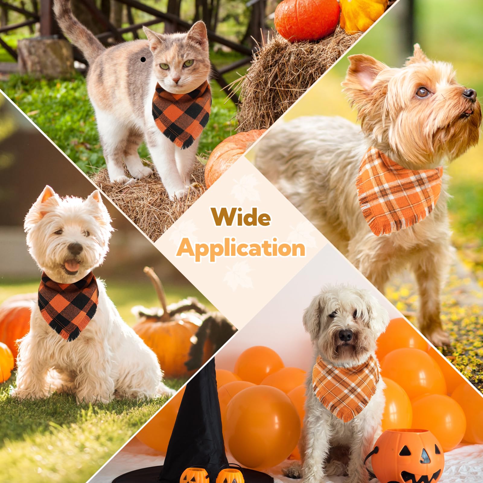 Kytely holiday bandana on a dog for Halloween and Thanksgiving vibes.