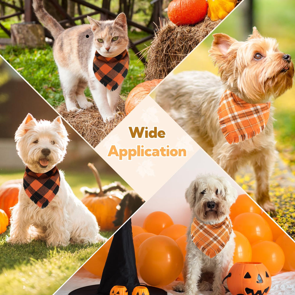 Kytely holiday bandana on a dog for Halloween and Thanksgiving vibes.