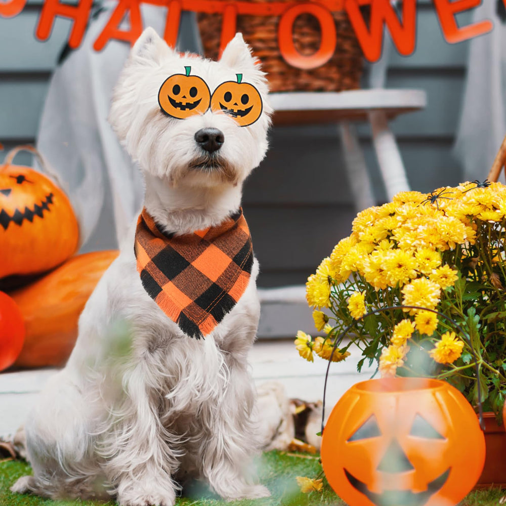 Kytely large-size dog bandana worn by bigger pups for festive styling.
